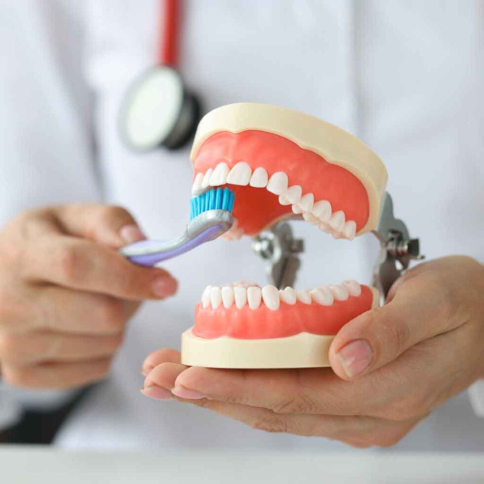 Cómo Cepillarse Los Dientes Correctamente: Una Guía Paso A Paso